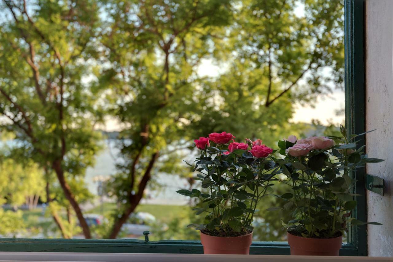 Apartment Oliveto Šibenik Extérieur photo